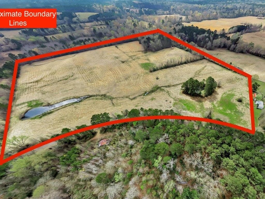 41.3 acres in Texas County