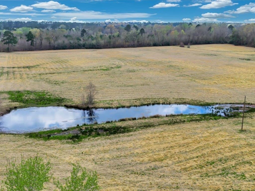 41.3 acres in Texas County featured view