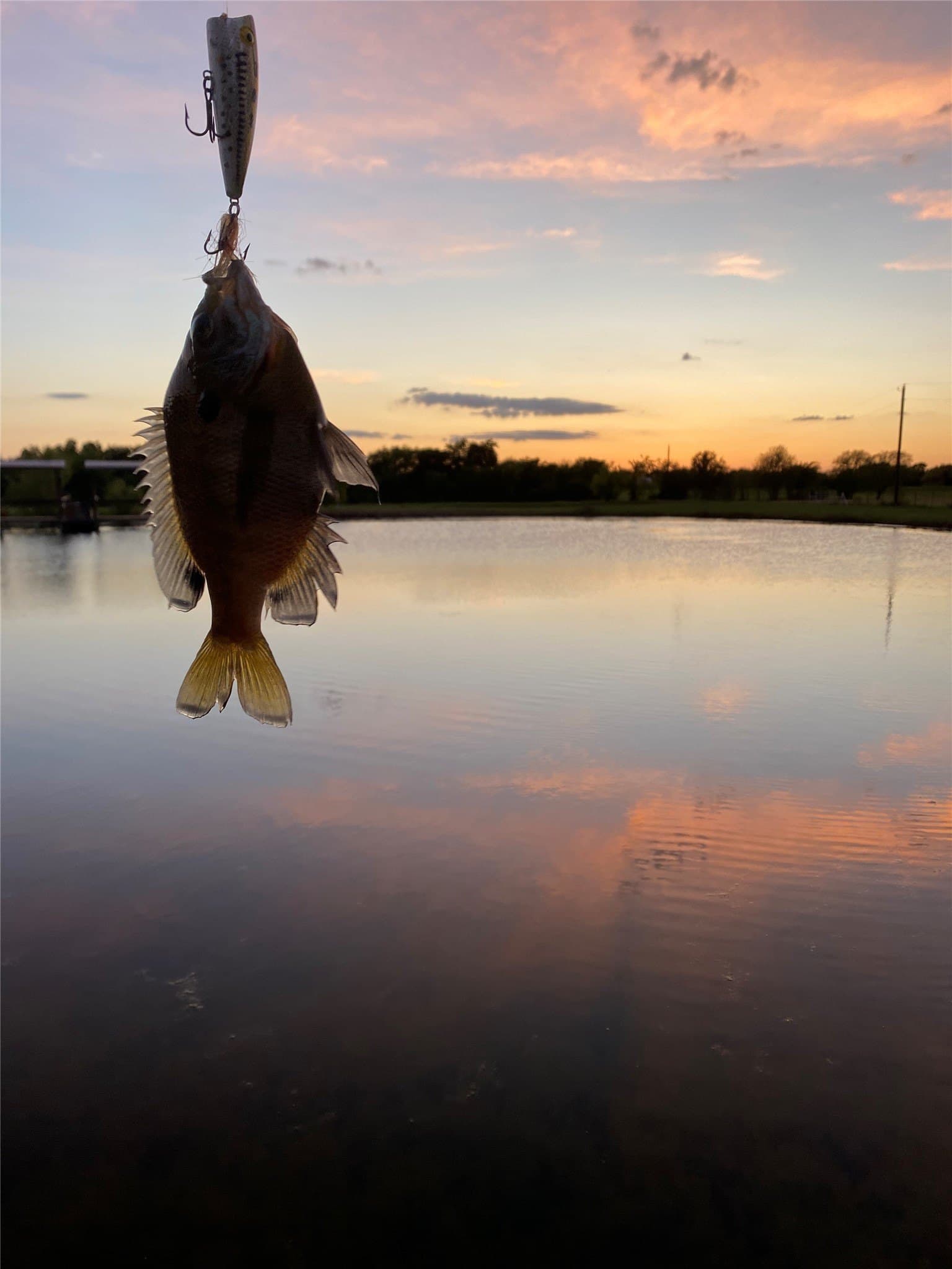 7.5 acres in Rains County - photo 10