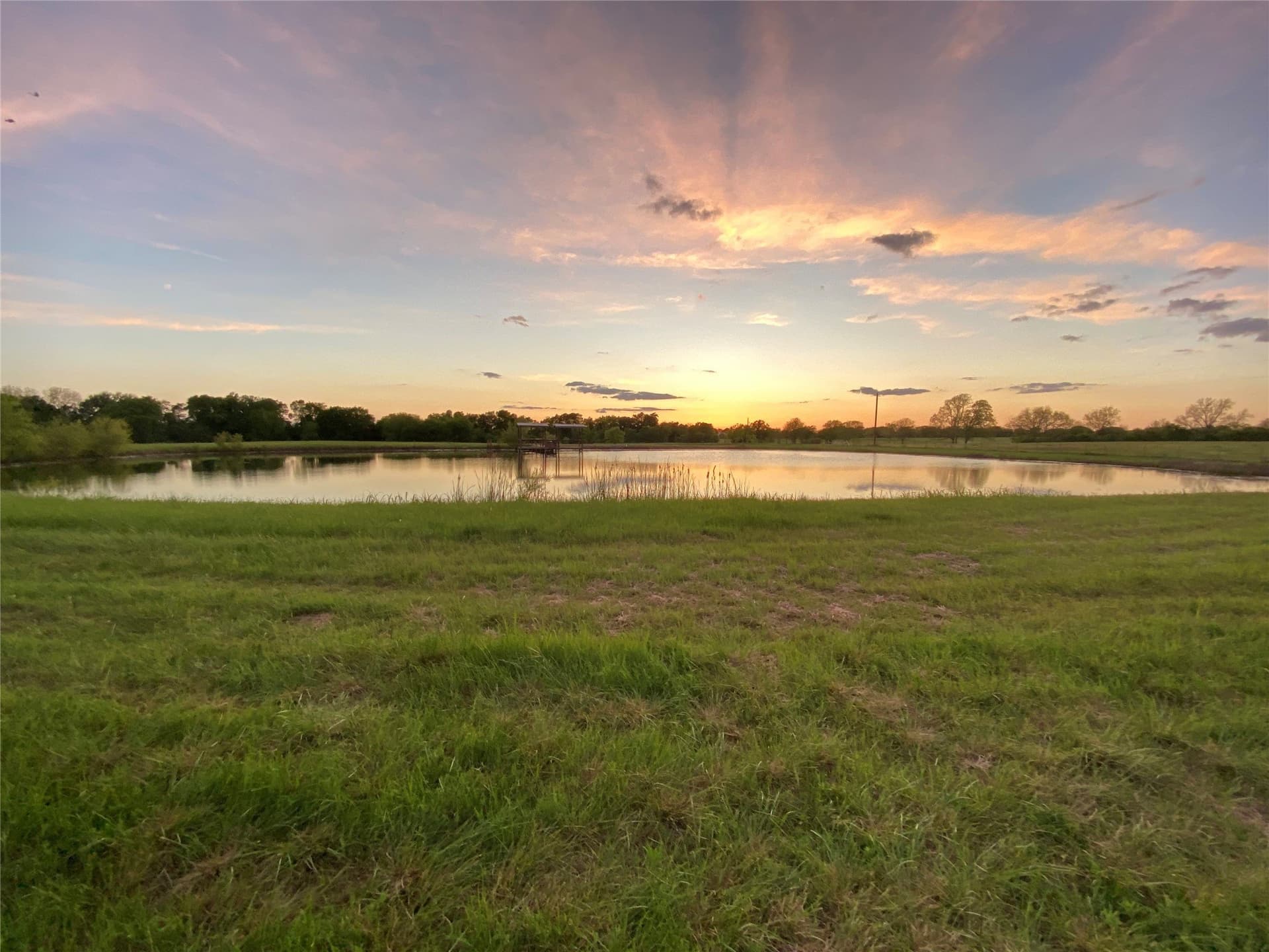 7.5 acres in Rains County - photo 5