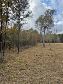 10.57 acres in Texas County gallery image 4