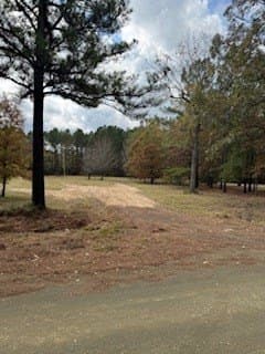10.57 acres in Texas County - photo 7