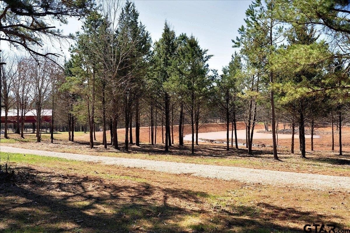 65.58 acres in Smith County gallery image 3