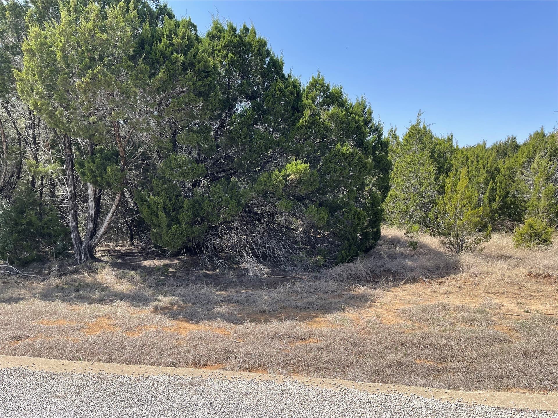 0.27 acres in Hill County gallery image 2