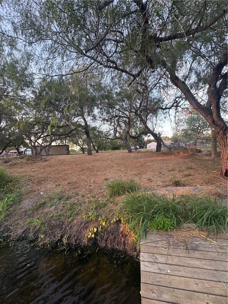 0.2 acres in San Patricio County - photo 4