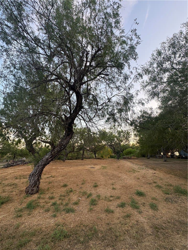 0.2 acres in San Patricio County - photo 10