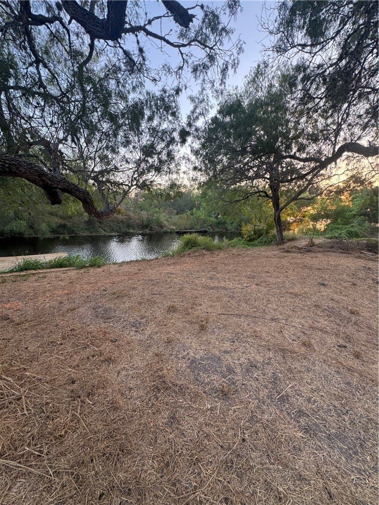 0.2 acres in San Patricio County - photo 15