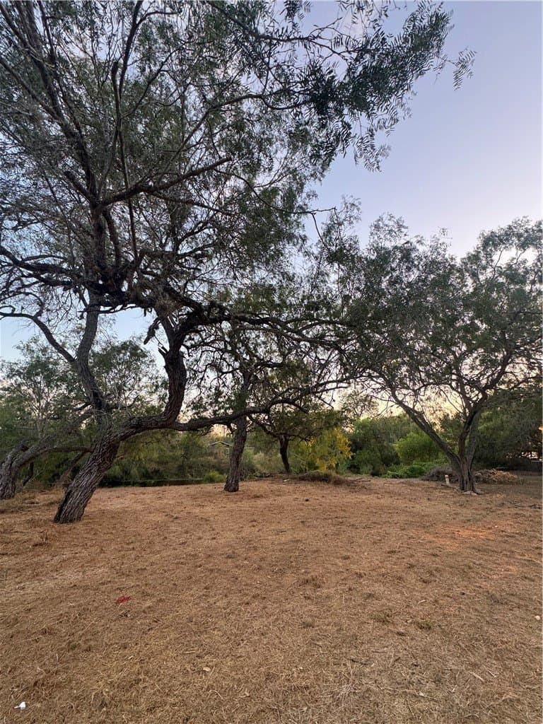 0.2 acres in San Patricio County - photo 14
