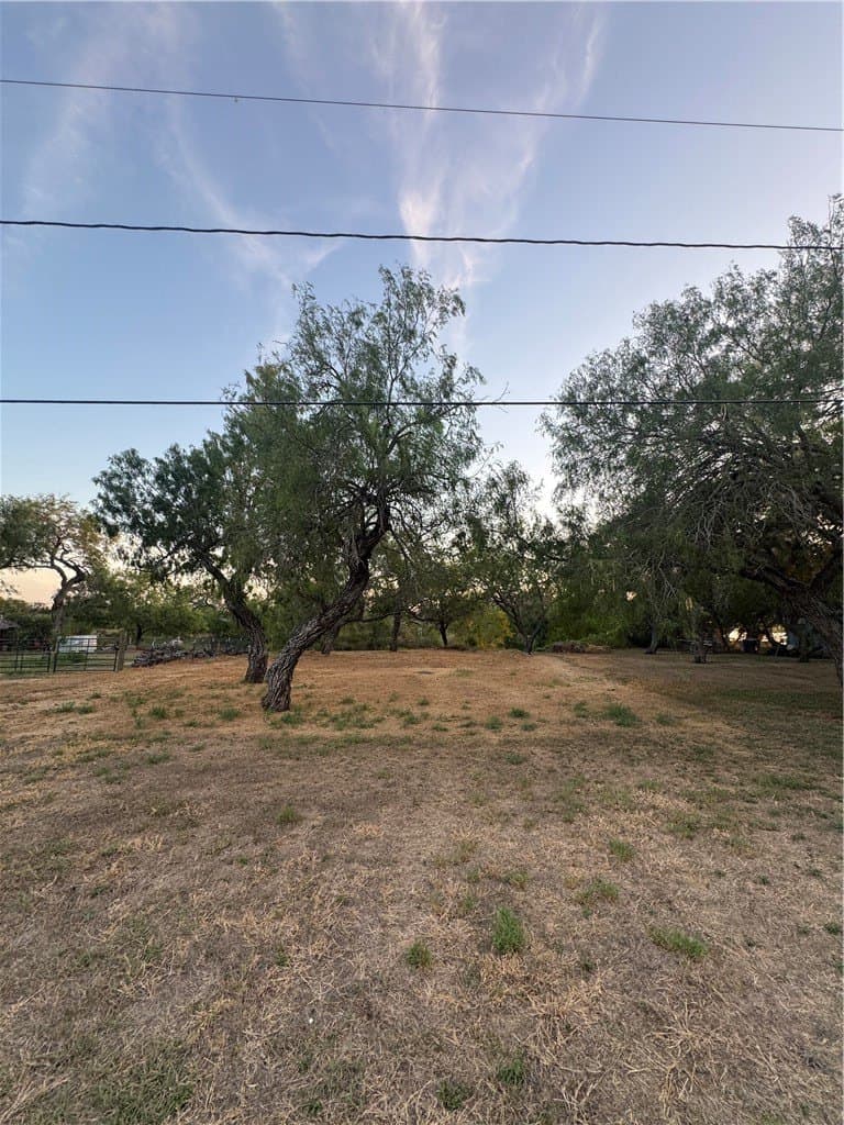 0.2 acres in San Patricio County - photo 12