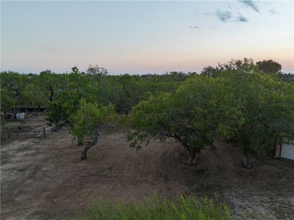 0.2 acres in San Patricio County - photo 17
