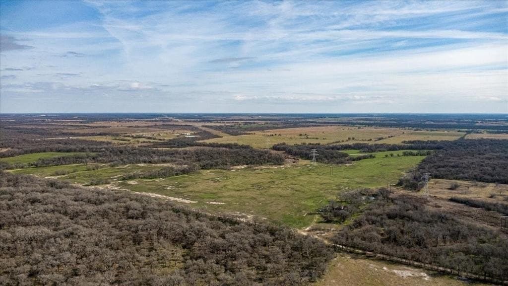 169.6 acres in Limestone County gallery image 3