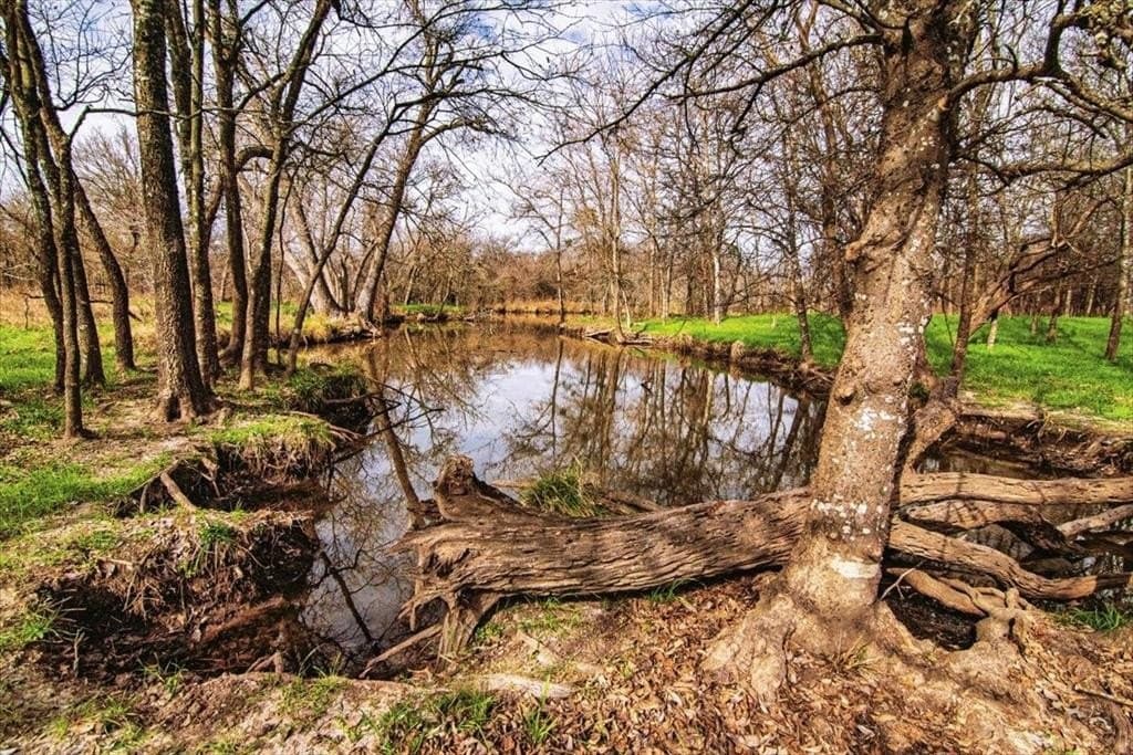 169.6 acres in Limestone County