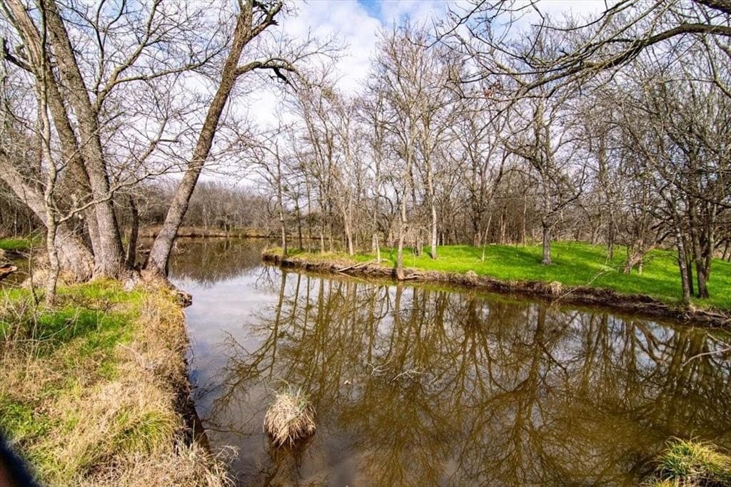 169.6 acres in Limestone County gallery image 2