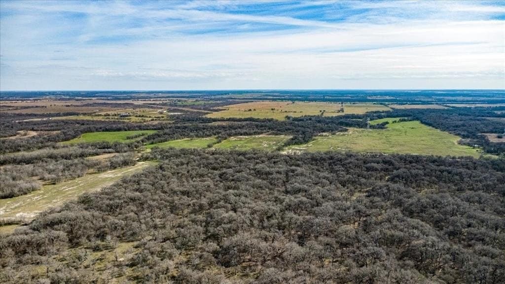 169.6 acres in Limestone County gallery image 4