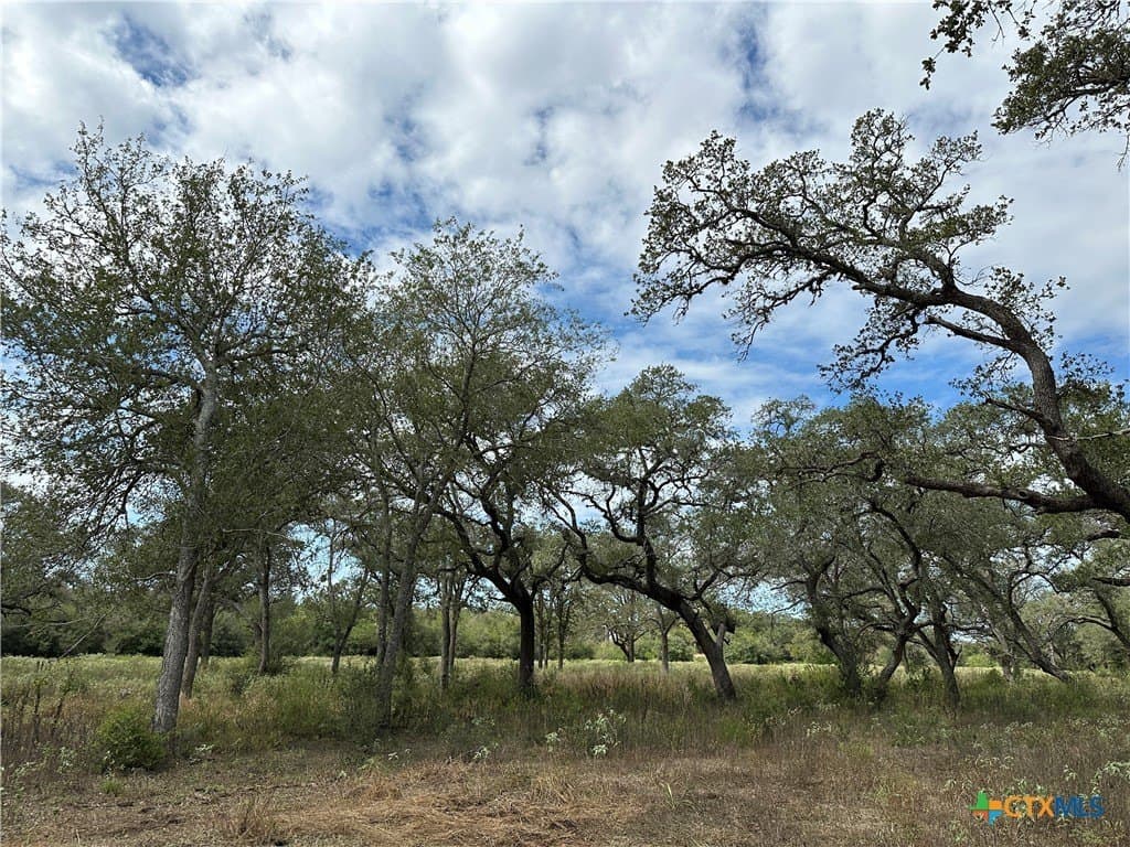 11.82 acres in Victoria County - photo 4