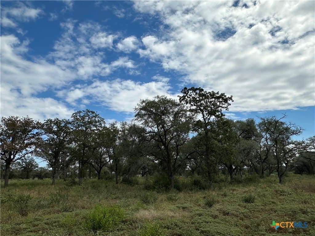 11.82 acres in Victoria County - photo 5