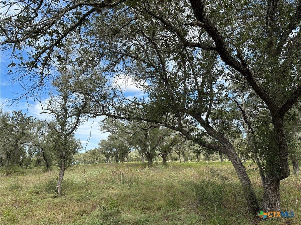 11.82 acres in Victoria County - photo 3