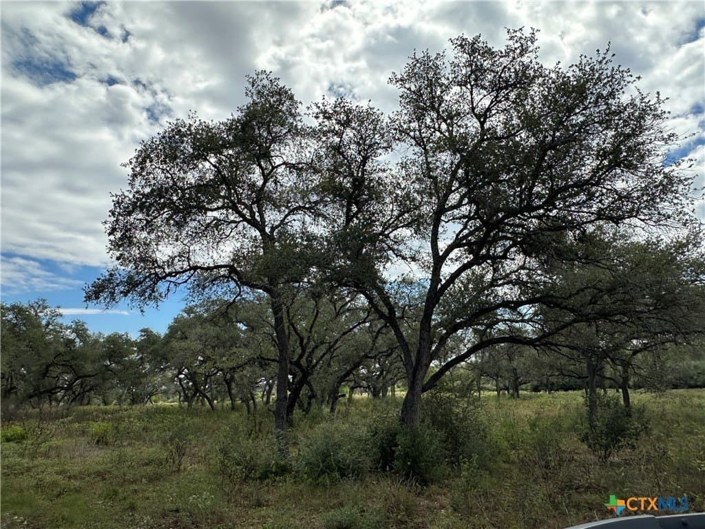 11.82 acres in Victoria County - photo 8