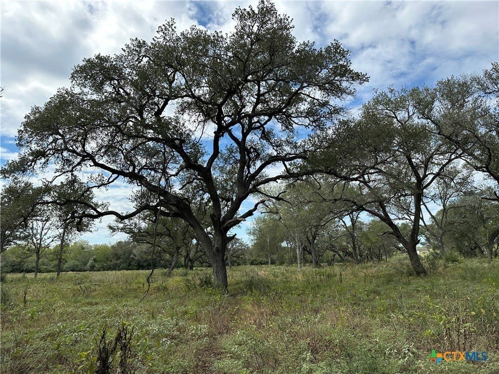 11.82 acres in Victoria County - photo 2