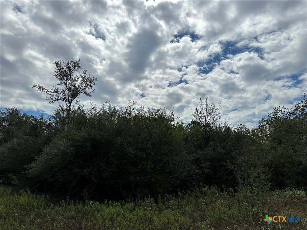 11.82 acres in Victoria County - photo 6
