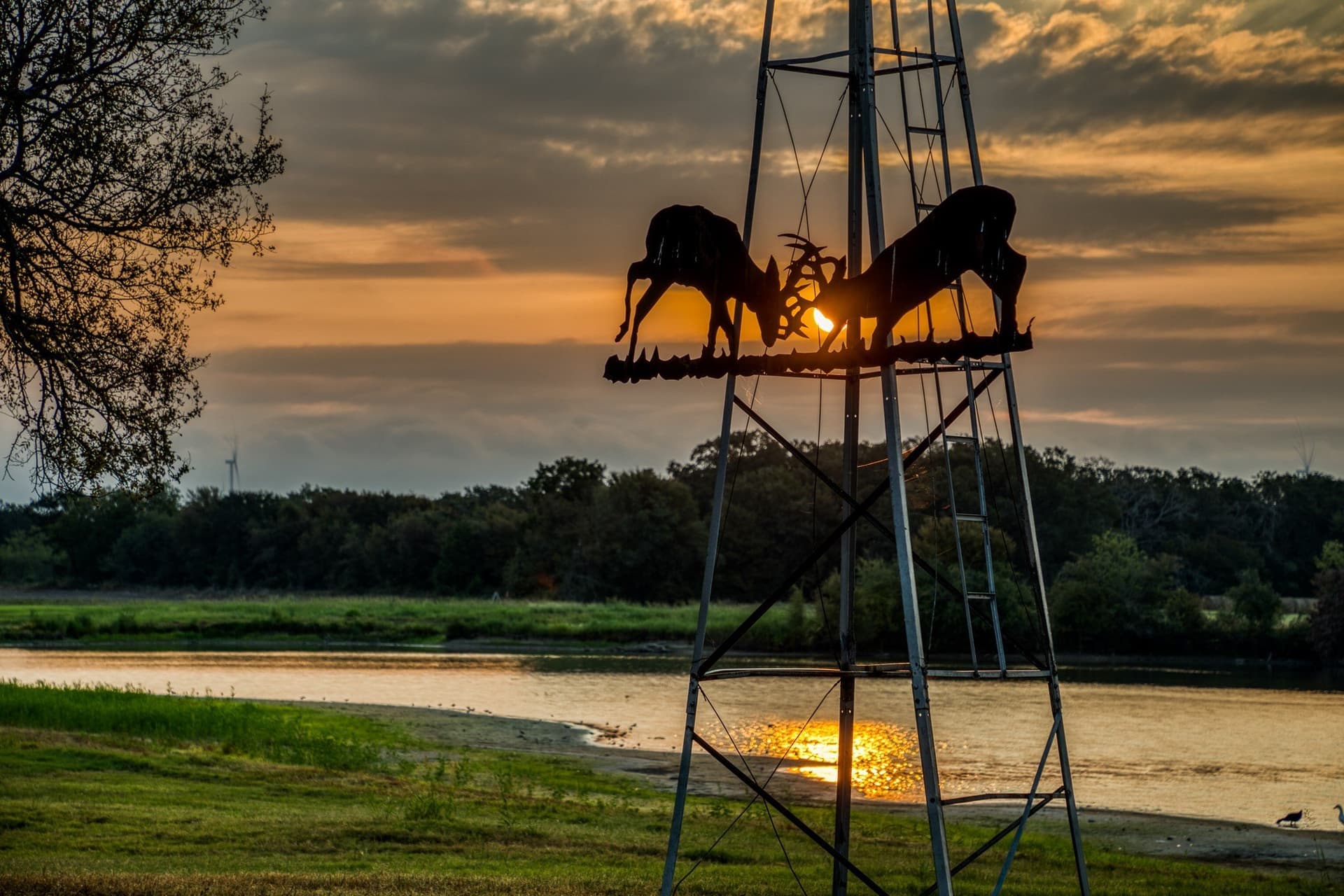148.89 acres in McLennan County - photo 4