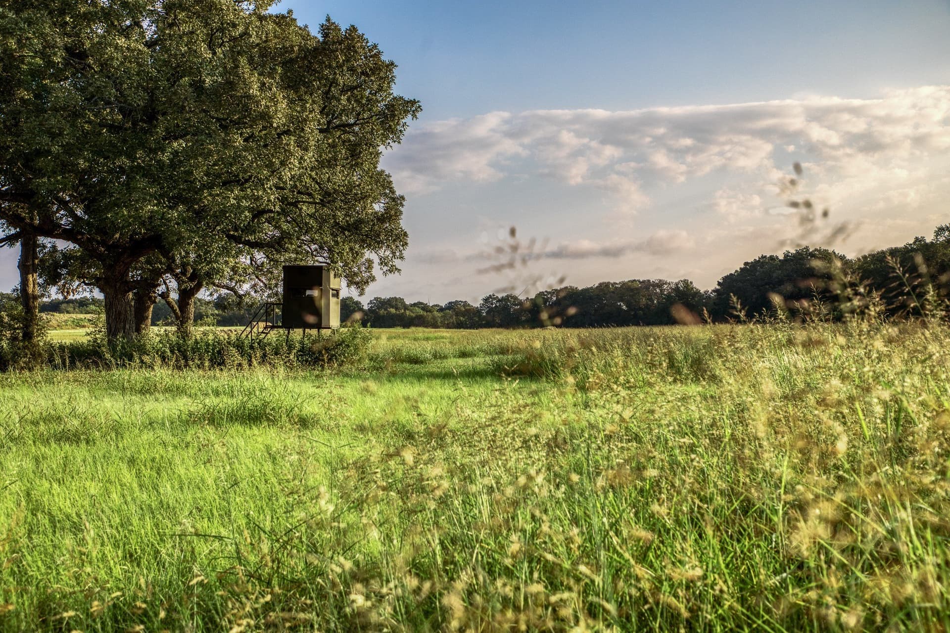 148.89 acres in McLennan County - photo 33