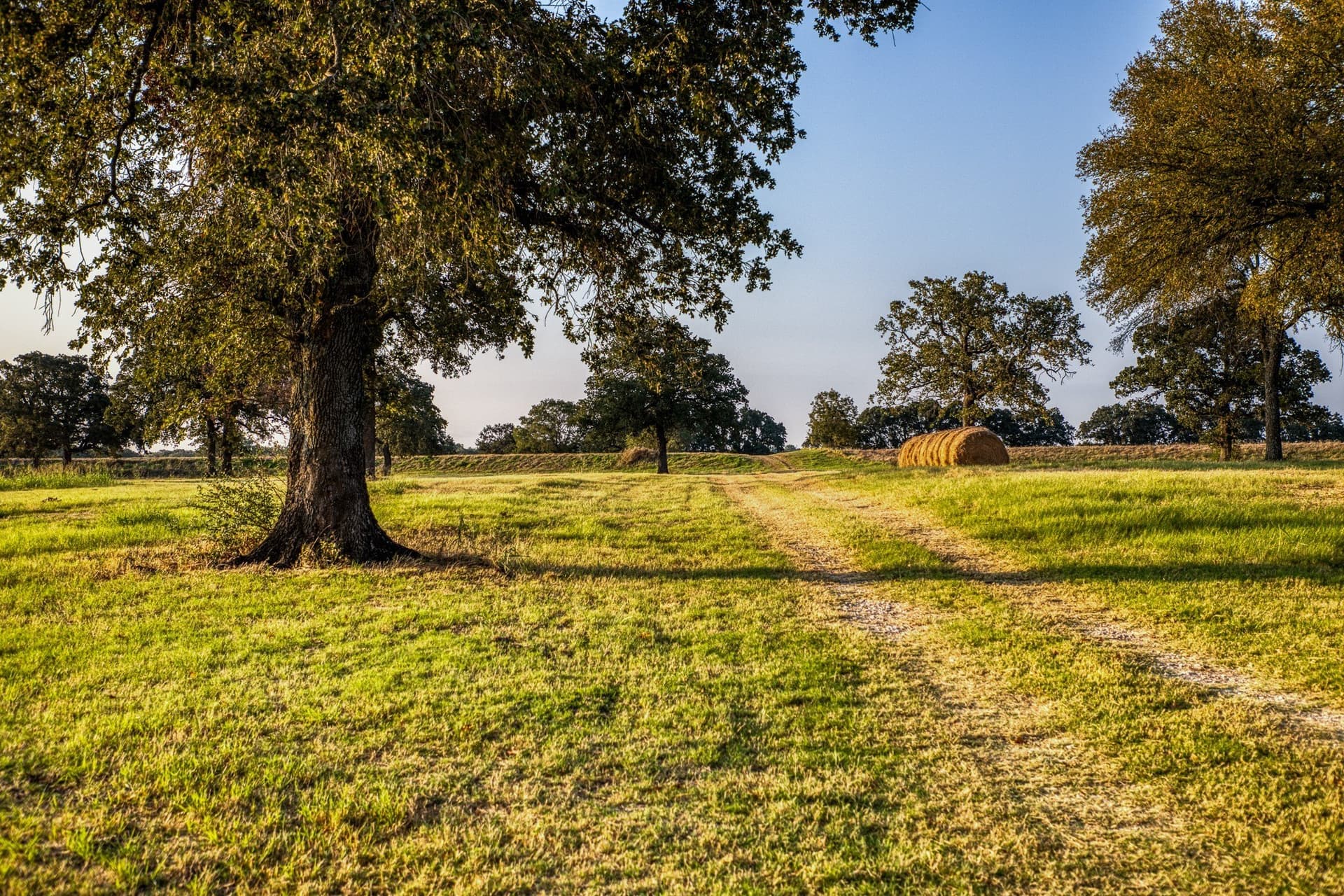 148.89 acres in McLennan County - photo 31