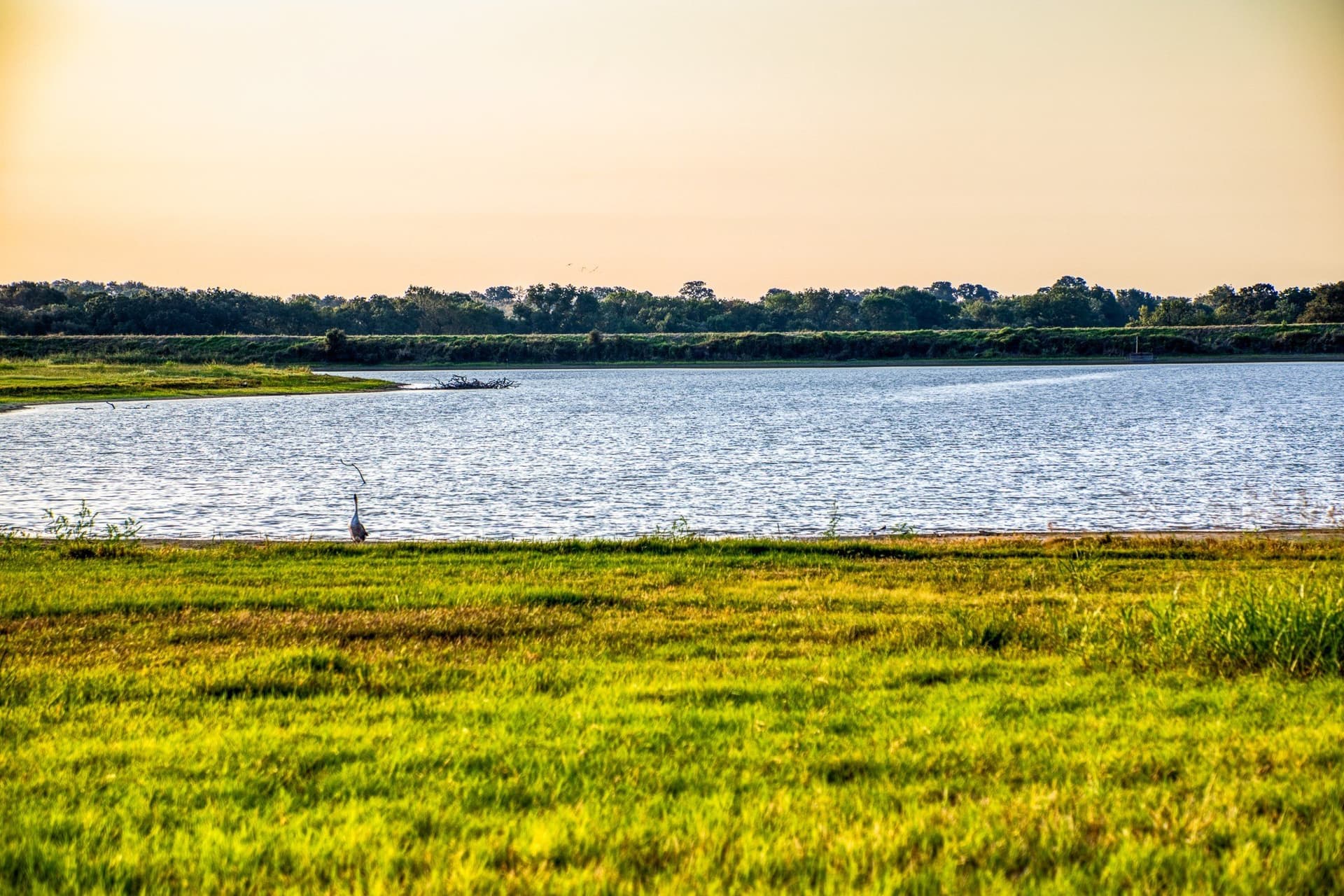 148.89 acres in McLennan County - photo 7
