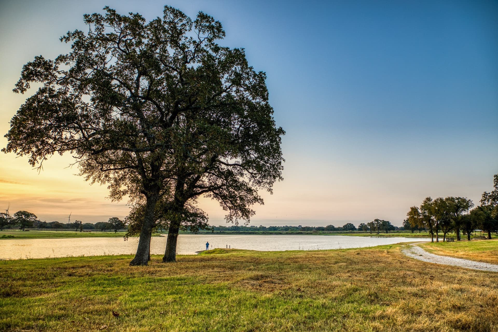 148.89 acres in McLennan County - photo 6