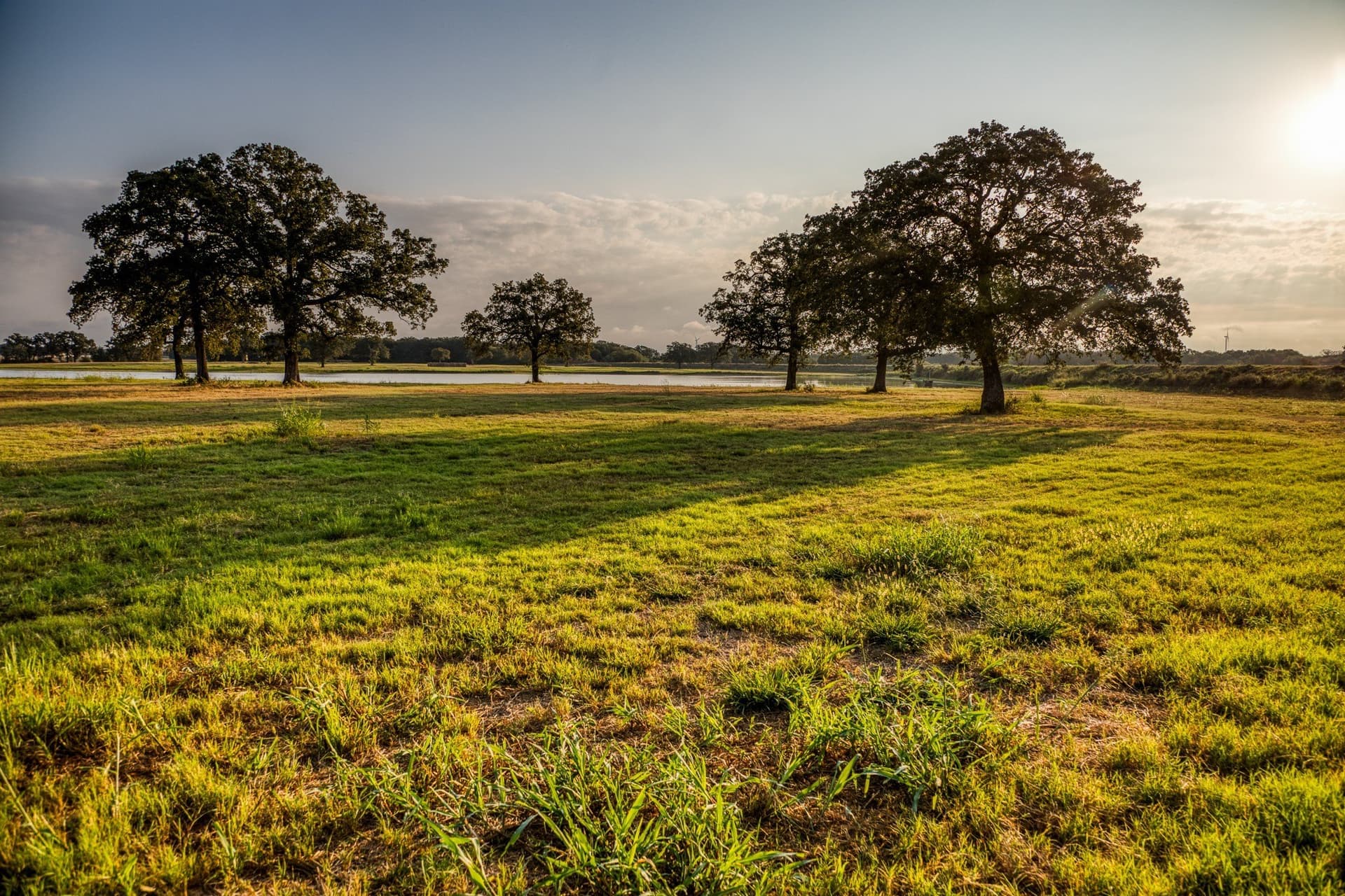 148.89 acres in McLennan County - photo 34