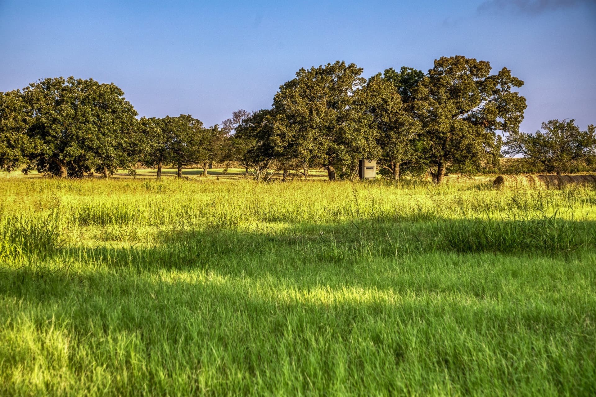 148.89 acres in McLennan County - photo 37