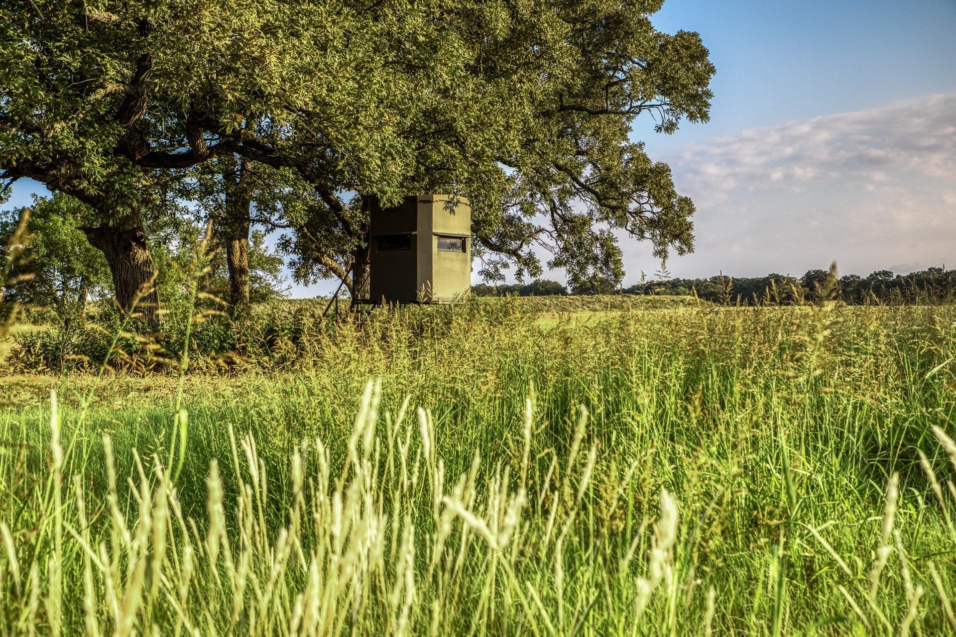 148.89 acres in McLennan County - photo 36