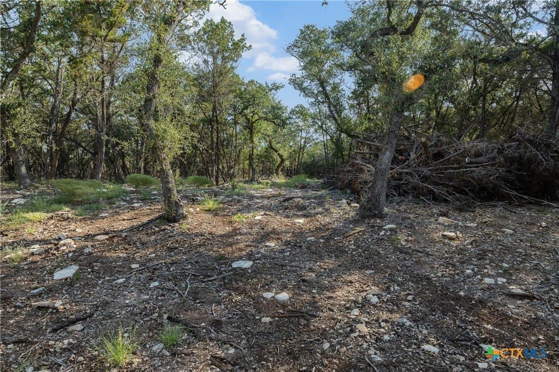 10.73 acres in Hays County - photo 15