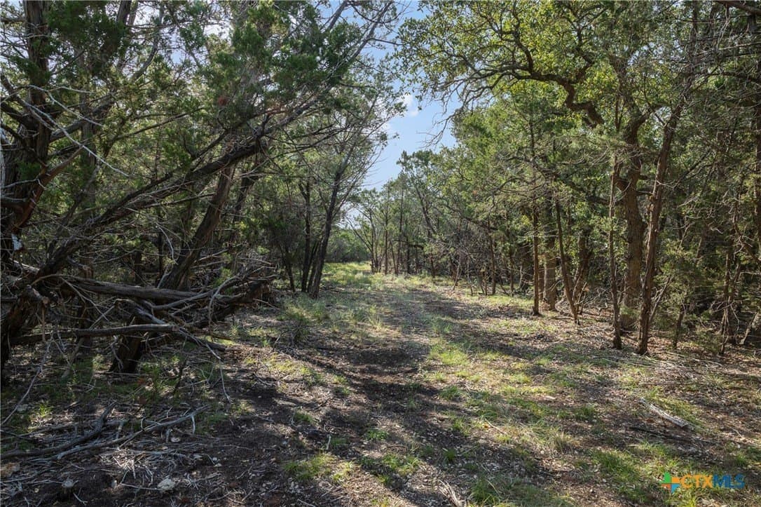 10.73 acres in Hays County - photo 16