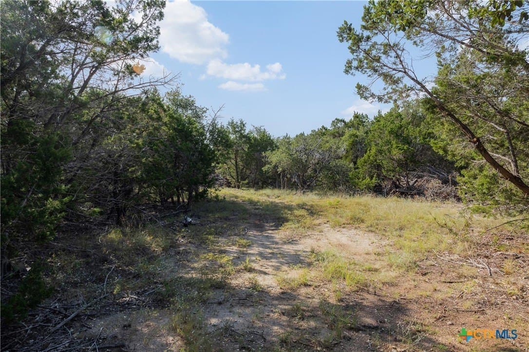 10.73 acres in Hays County - photo 11