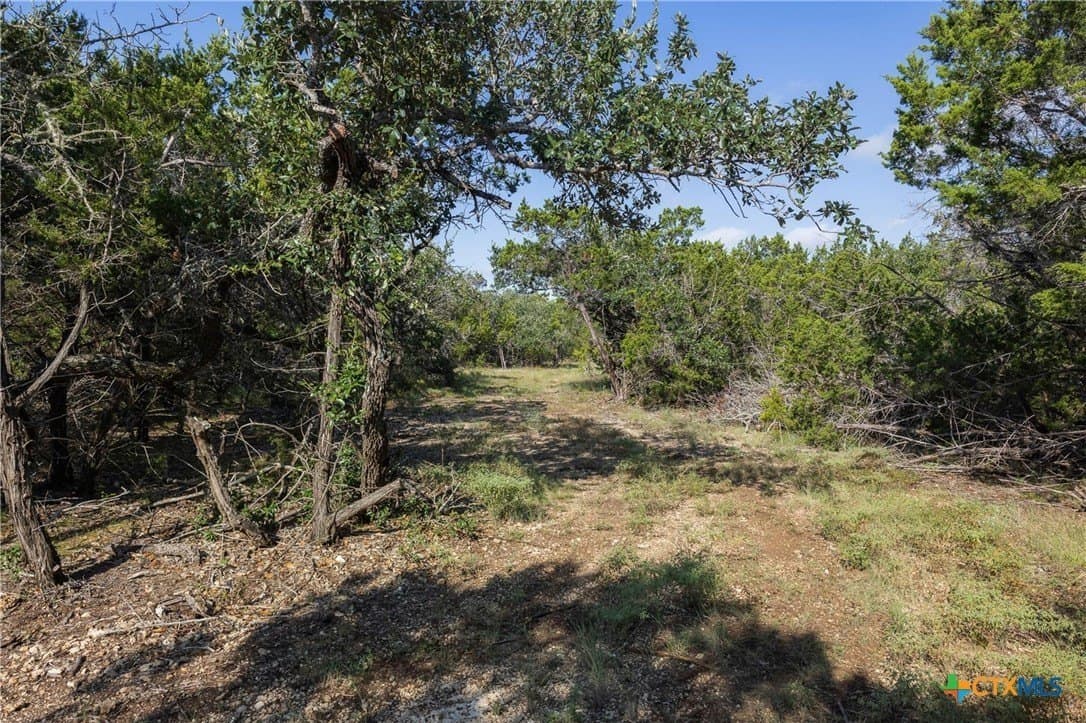 10.73 acres in Hays County - photo 12