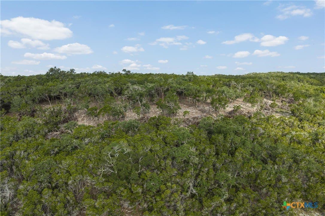 10.73 acres in Hays County - photo 7