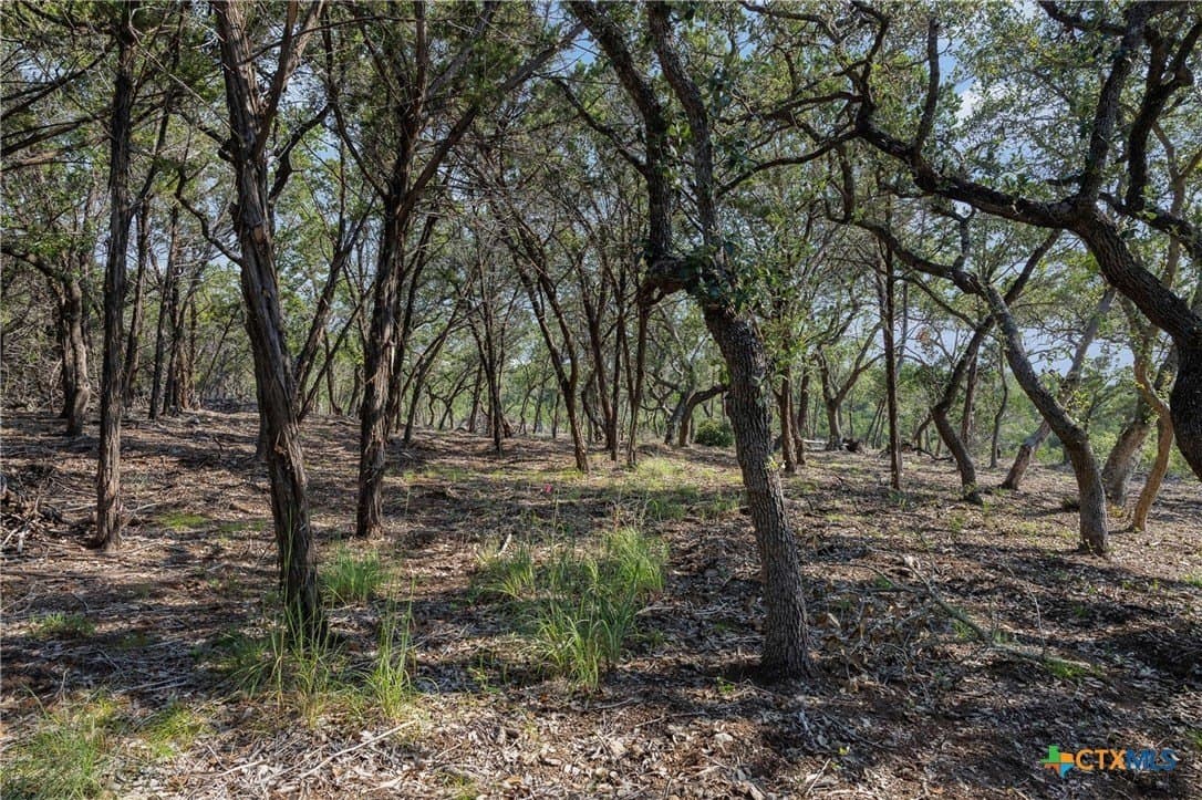 10.73 acres in Hays County - photo 13