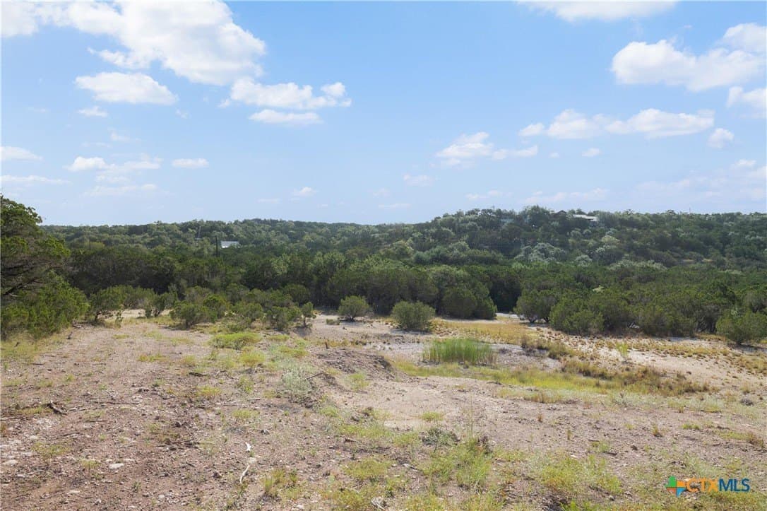 10.73 acres in Hays County - photo 9