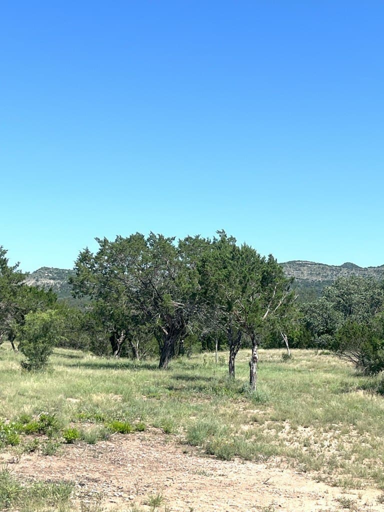 5 acres in Real County - photo 19
