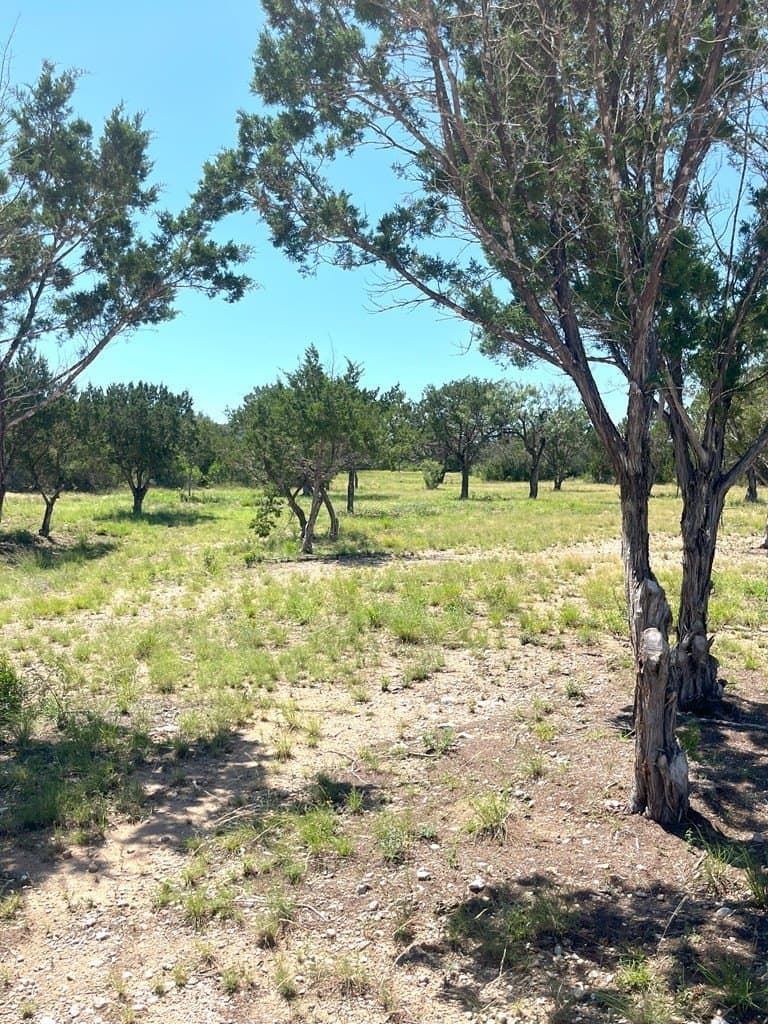 5 acres in Real County - photo 30