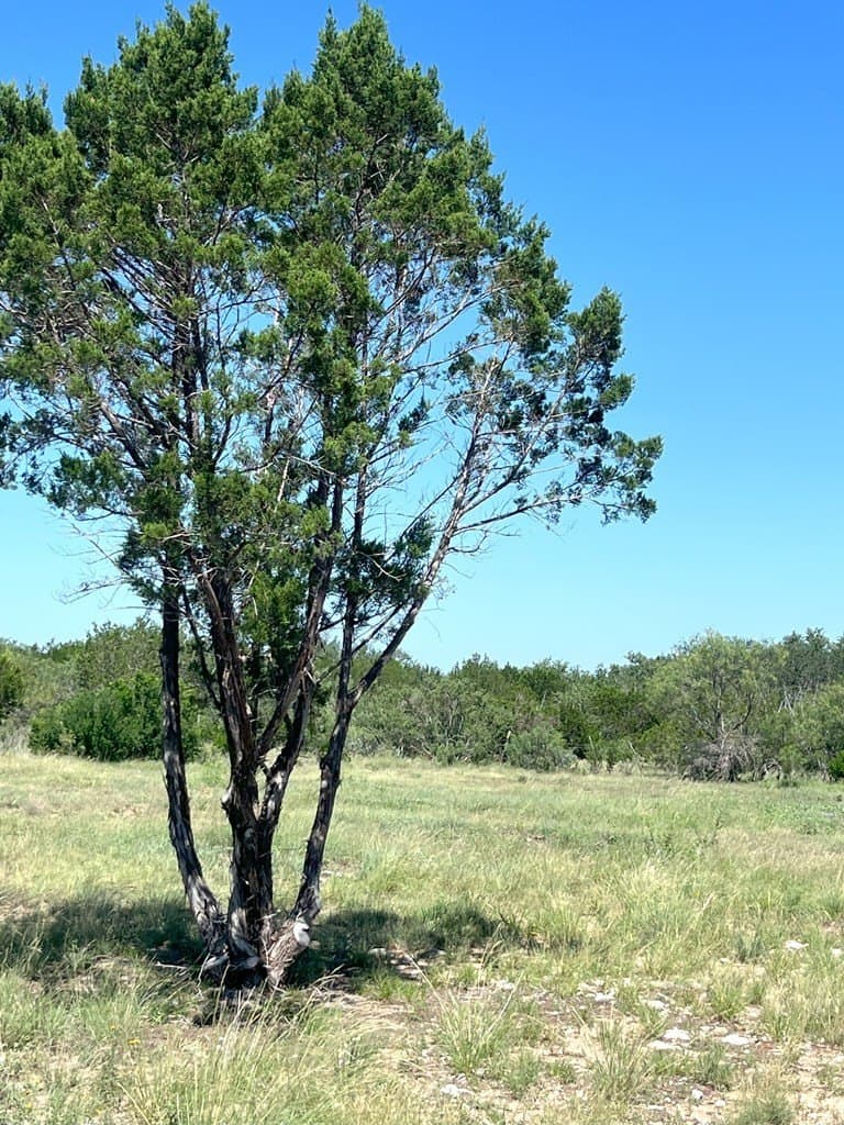 5 acres in Real County - photo 21