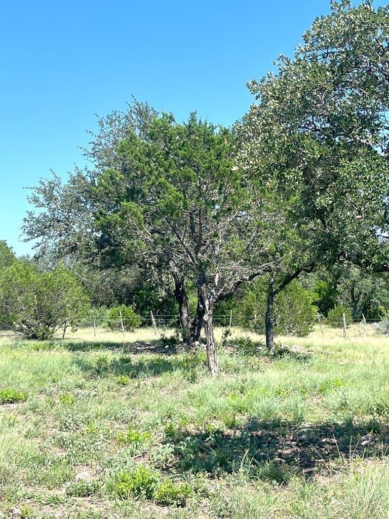 5 acres in Real County - photo 22
