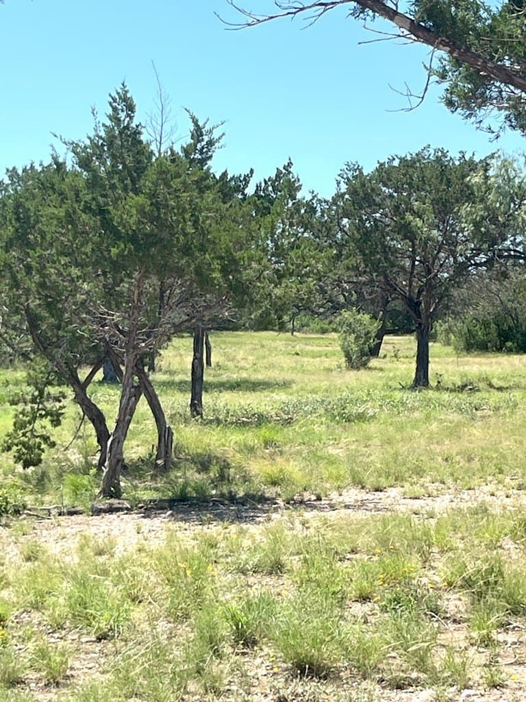 5 acres in Real County - photo 31