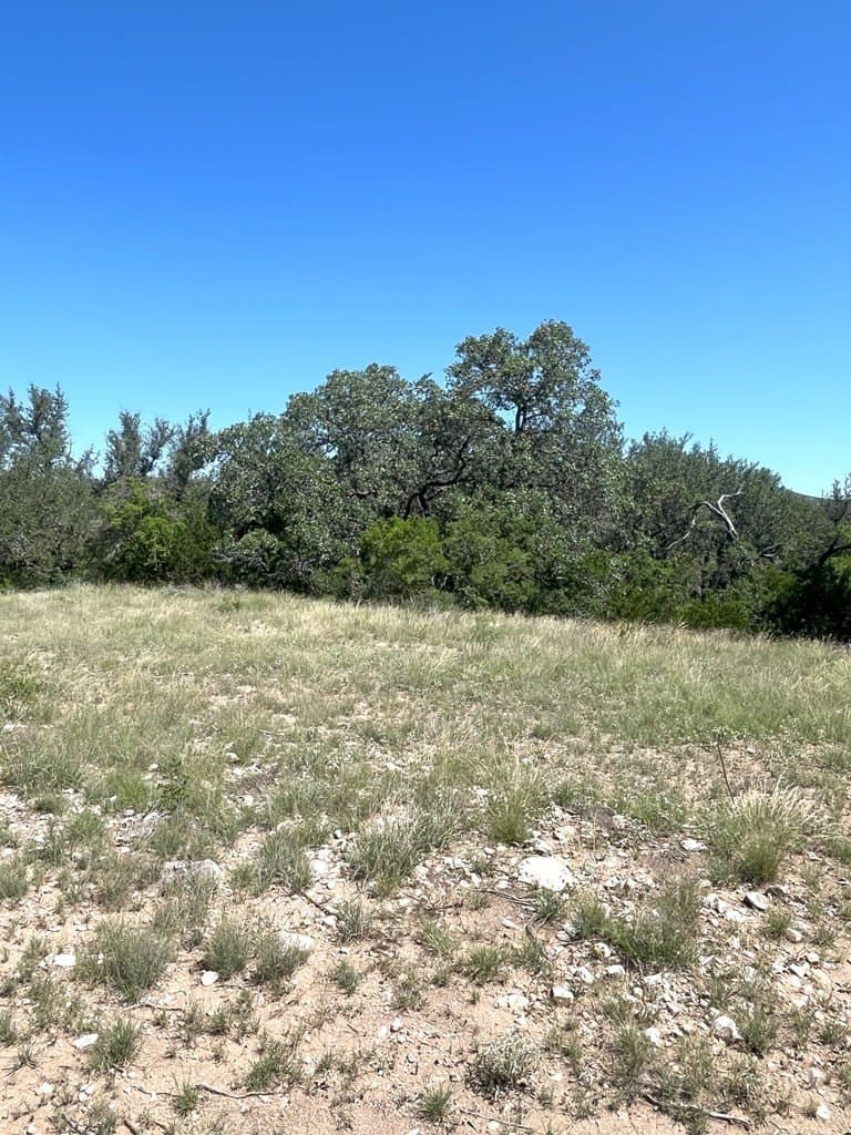 5 acres in Real County - photo 33