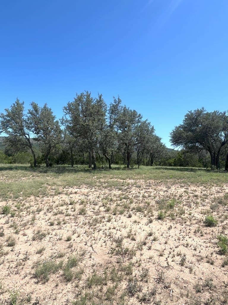 5 acres in Real County featured view