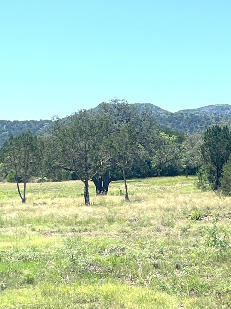5 acres in Real County - photo 24