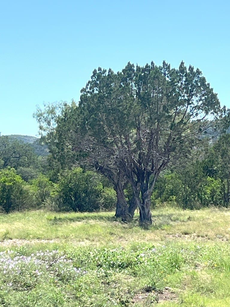 5 acres in Real County - photo 25