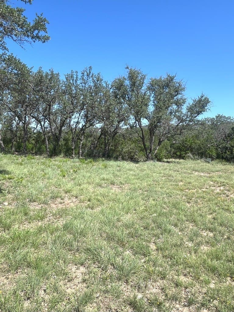 5 acres in Real County - photo 9