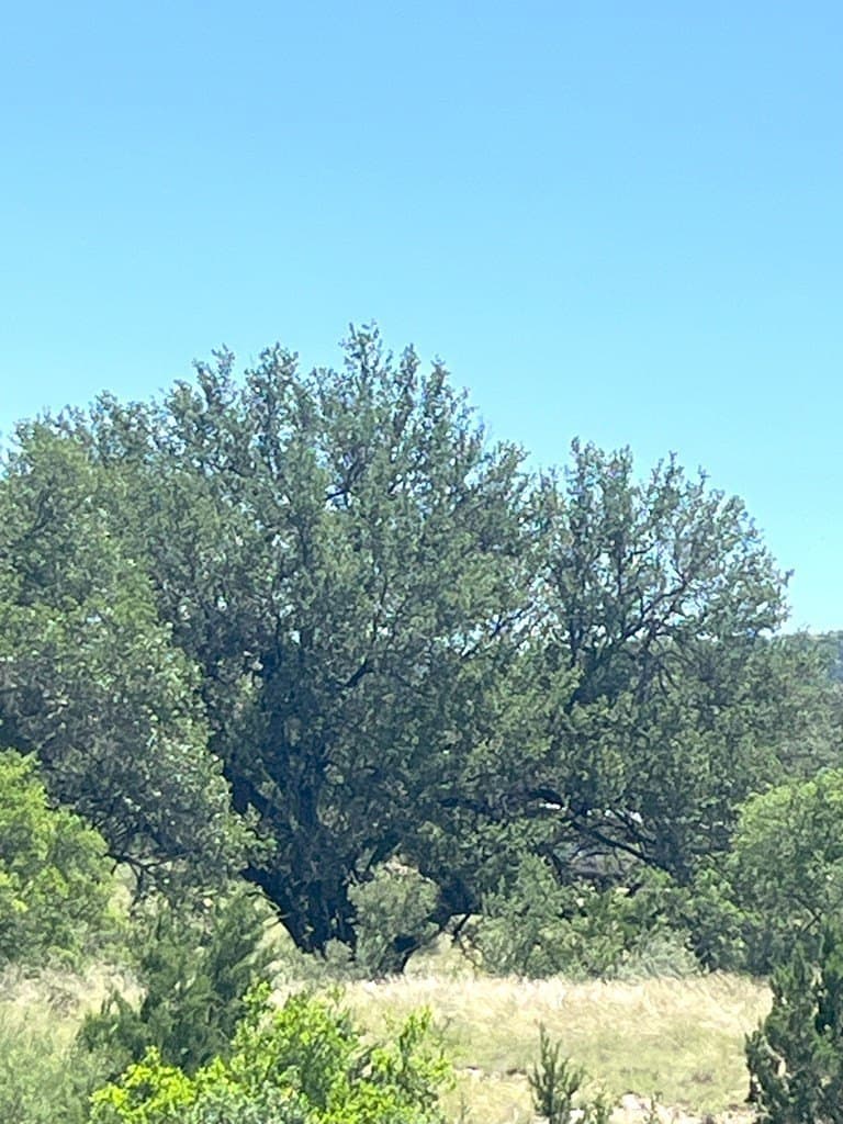 5 acres in Real County - photo 28